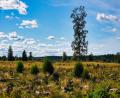 images/Schweden/Schweden 2025/DSC02486.jpg